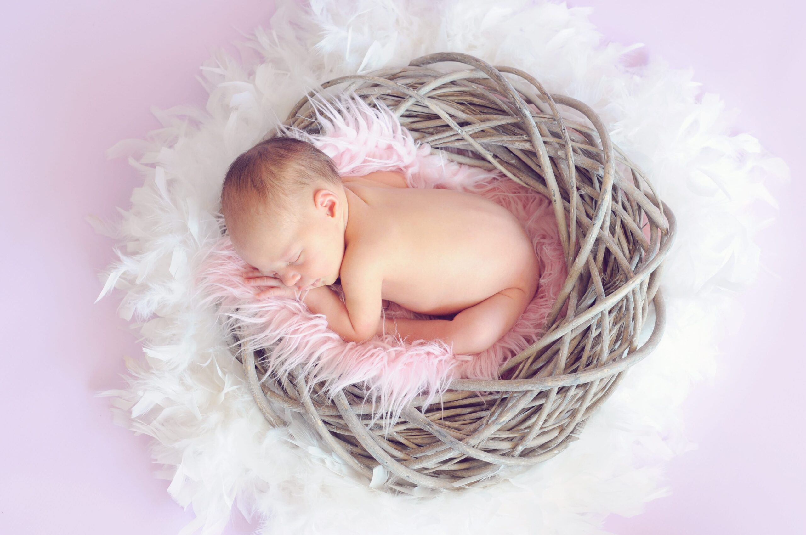 Newborn Photography Packages: What to Expect and How to Choose the Right One